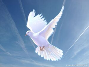 Twila Sharon Howell obituary photo